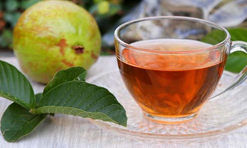 ஆரோக்கியத்திற்கேற்ற கொய்யா இலை டீ